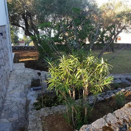 Beautiful House/villa Arboretum