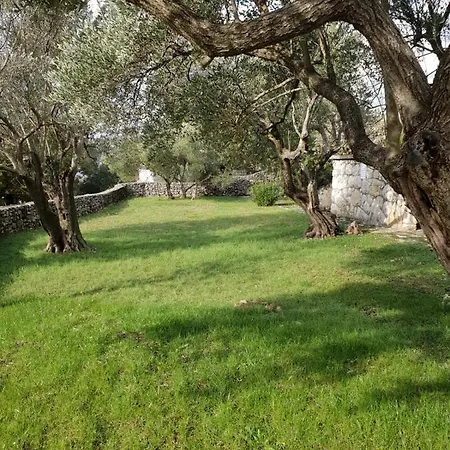 Beautiful House/villa Arboretum Maslenica