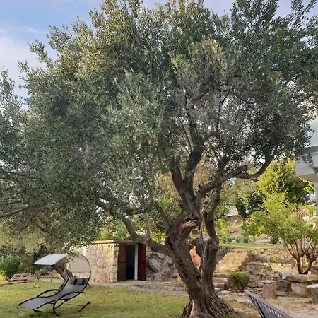 Beautiful House/villa Arboretum Holiday home Maslenica