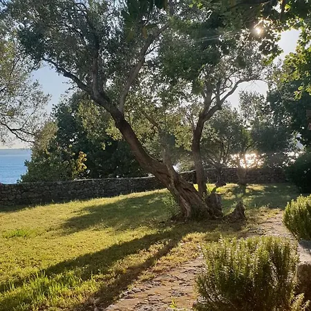 Beautiful House/villa Arboretum Holiday home *